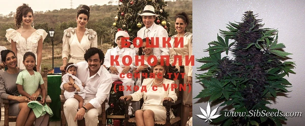 гашишное масло Аркадак