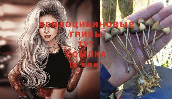 гашишное масло Аркадак
