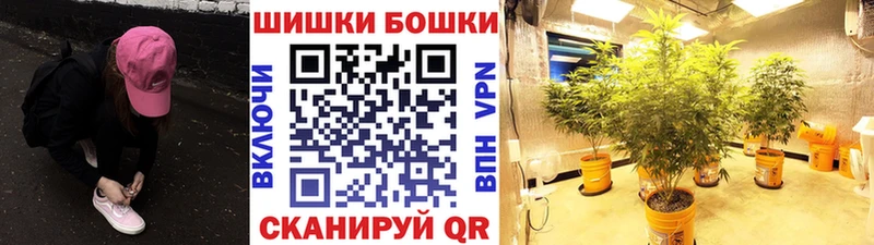 Каннабис семена Аша